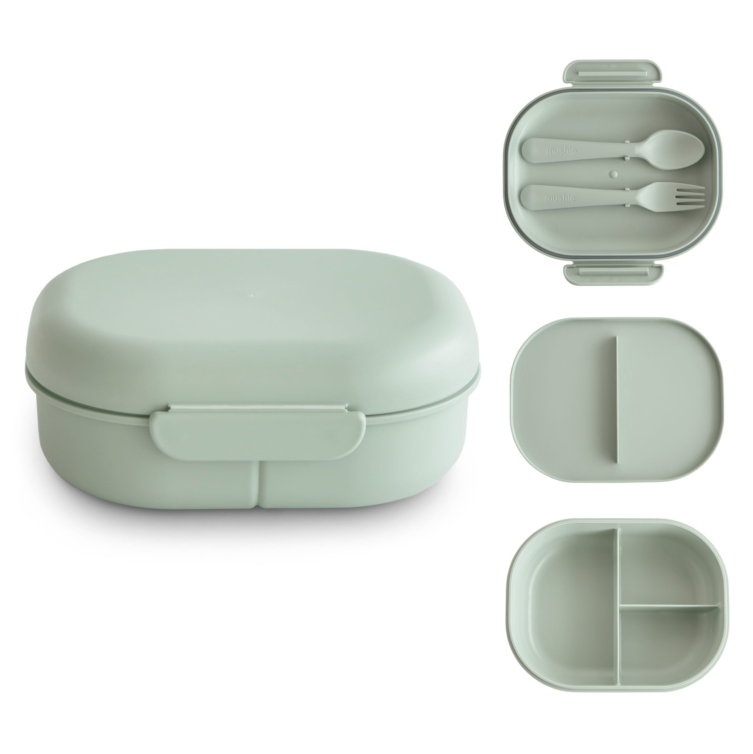 Lunchbox - Sage