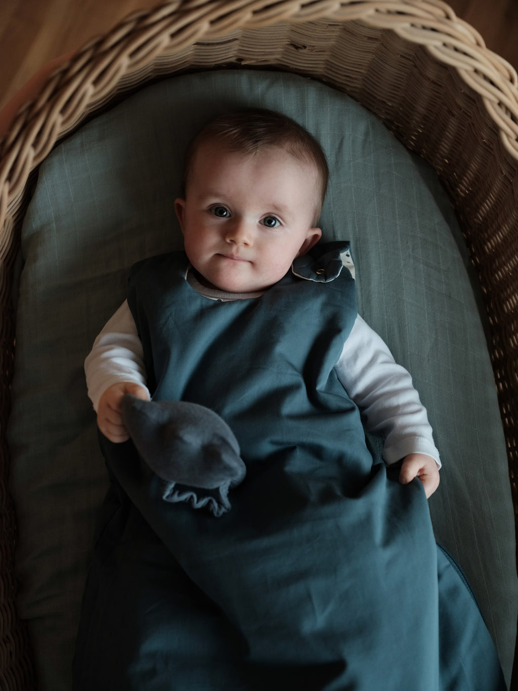 Sleeping Bag - Blue Spruce & Ocean