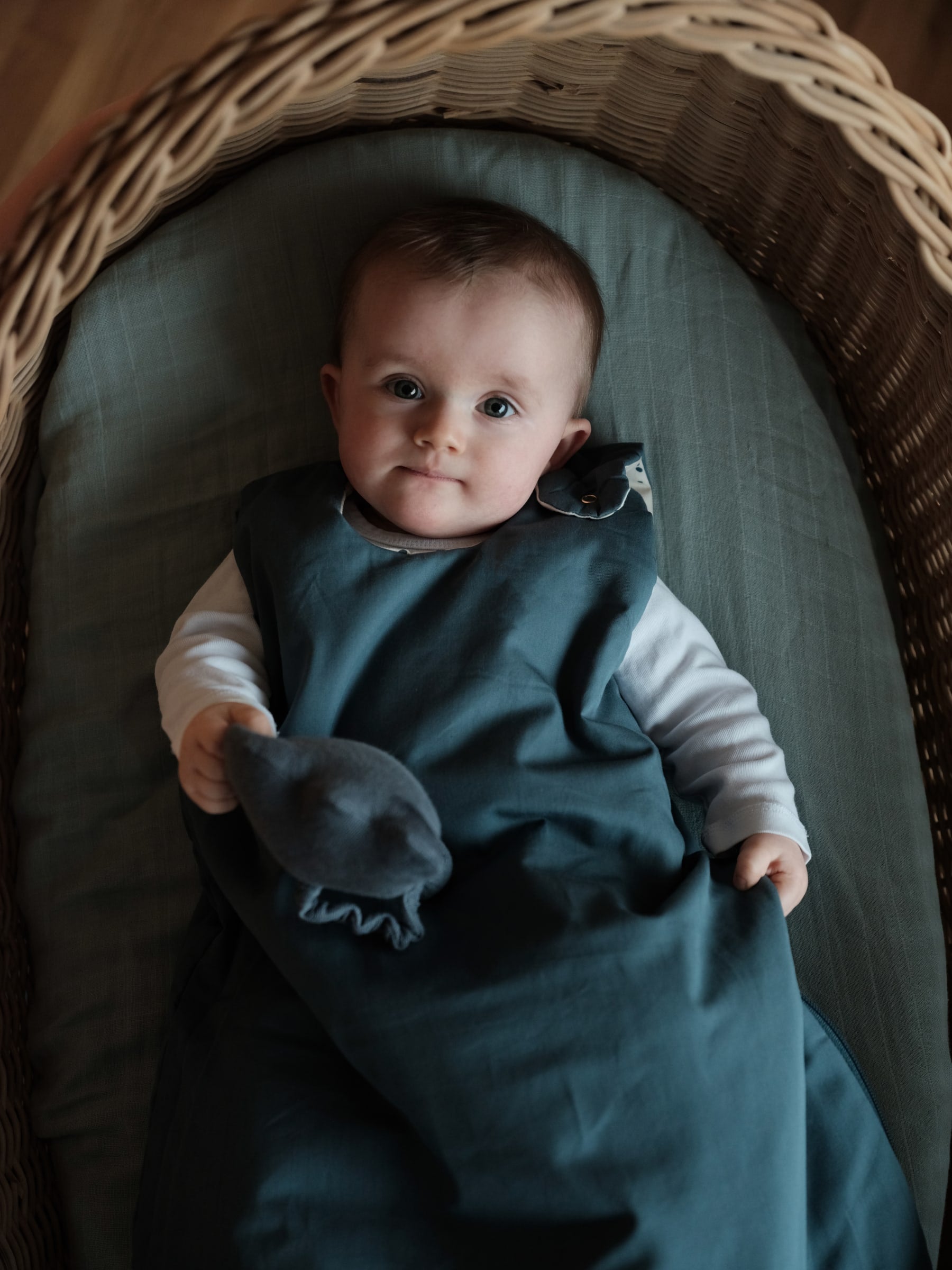 Sleeping Bag - Blue Spruce & Ocean